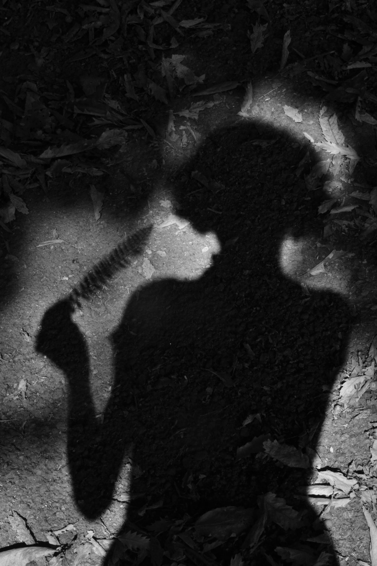 Shadow figure among fallen leaves