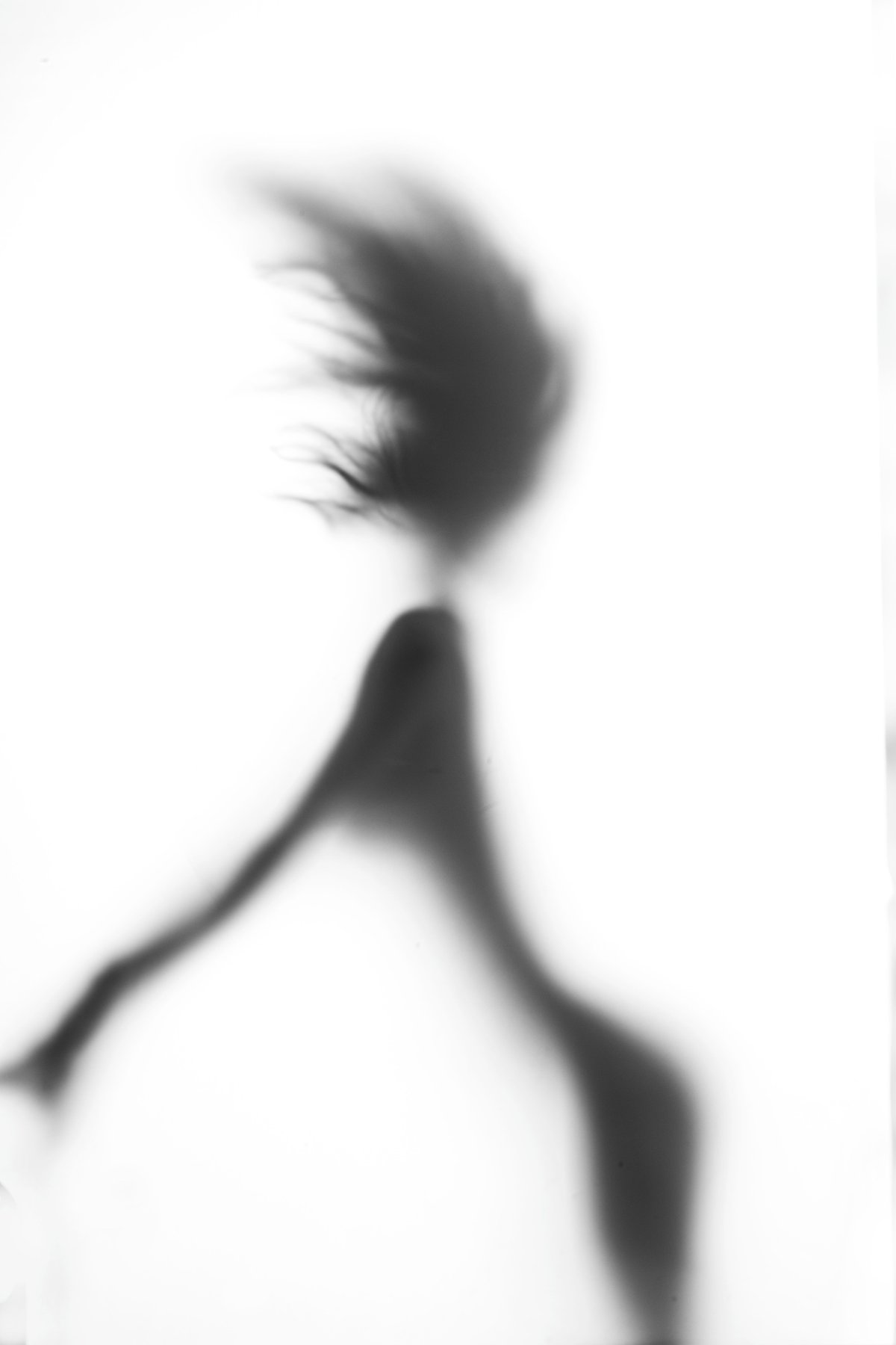 Wind-blown silhouette